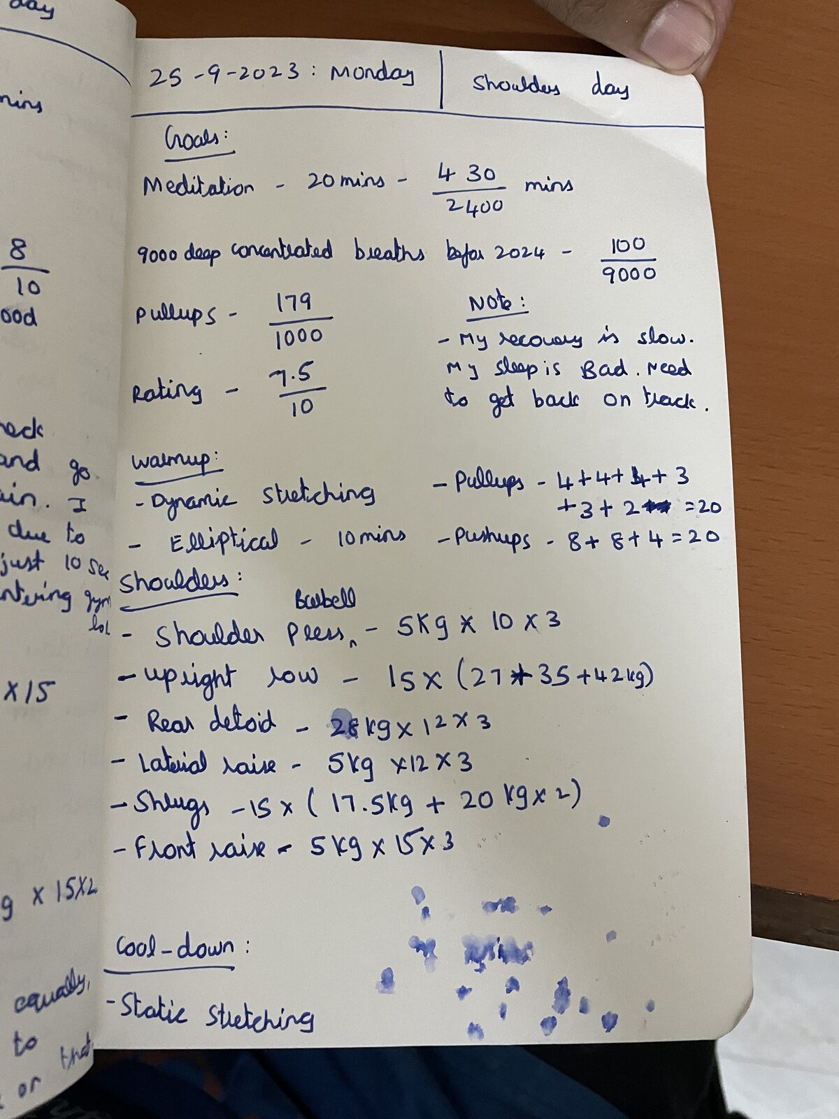 My handwritten fitness journal, day 313