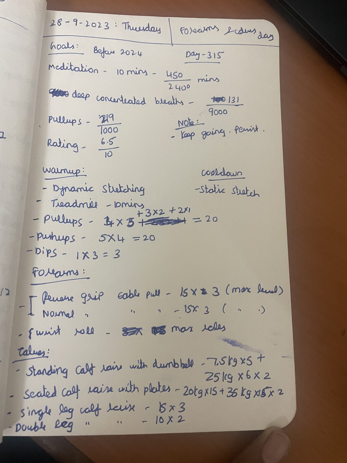 My handwritten fitness journal, day 315