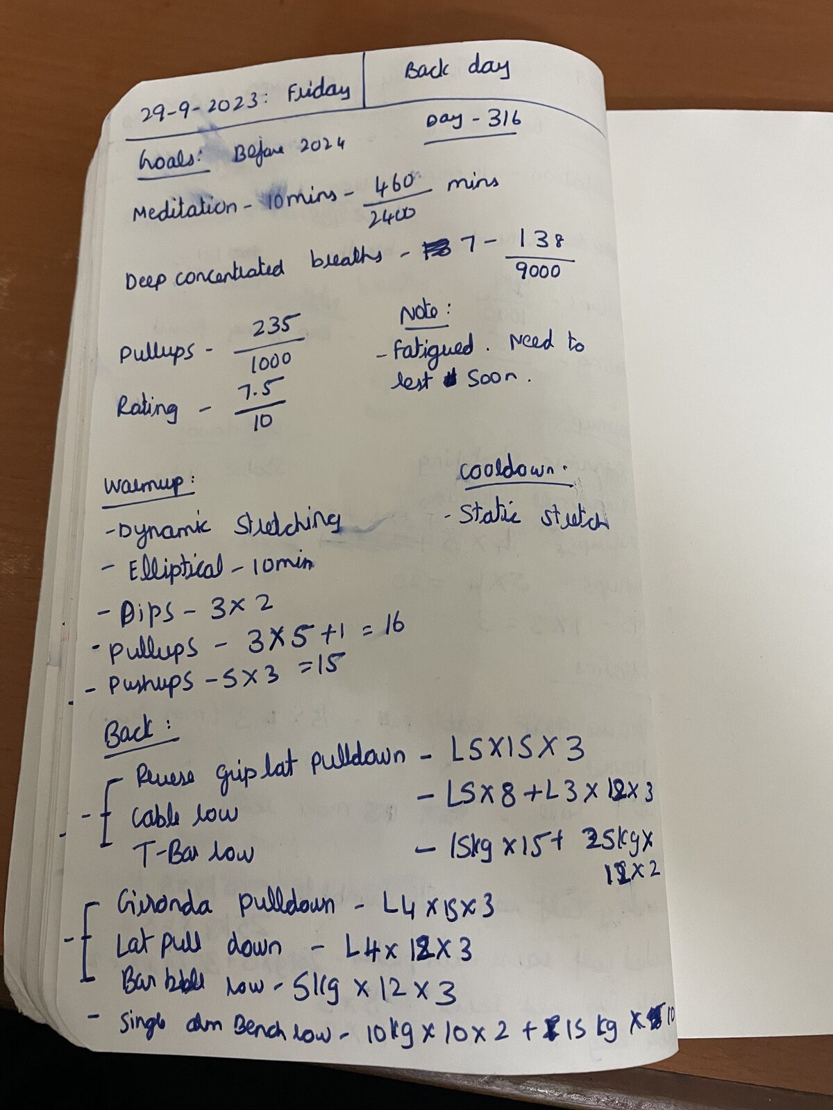 My handwritten fitness journal, day 316