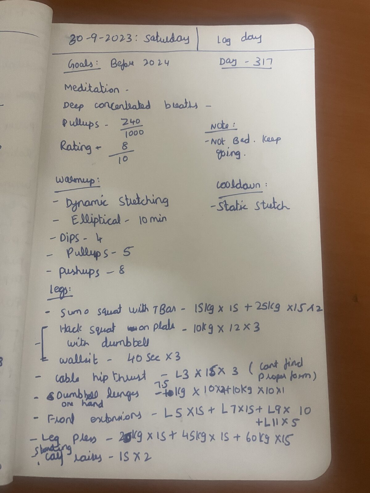 My handwritten fitness journal, day 317