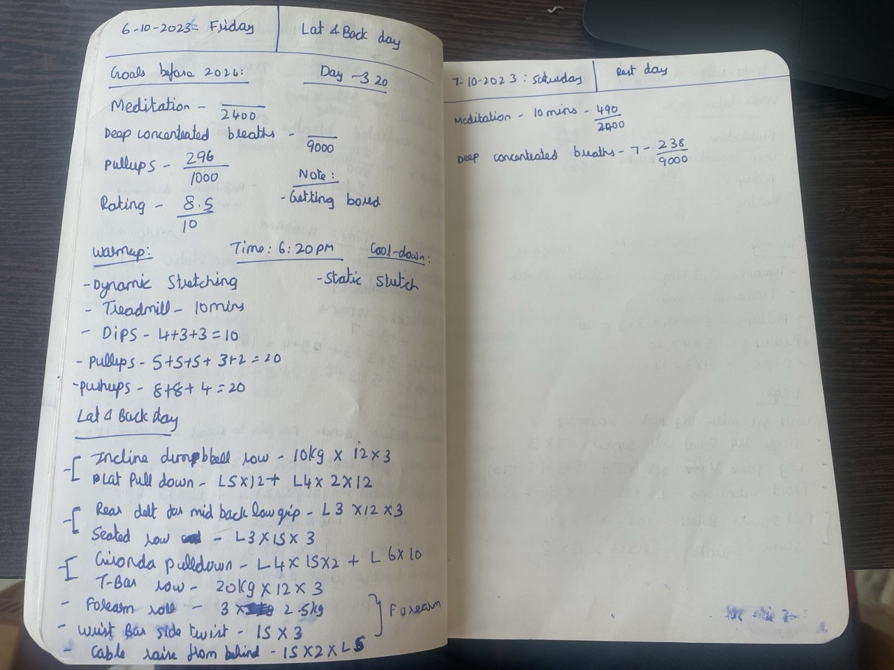 My handwritten fitness journal, days 319 to 324