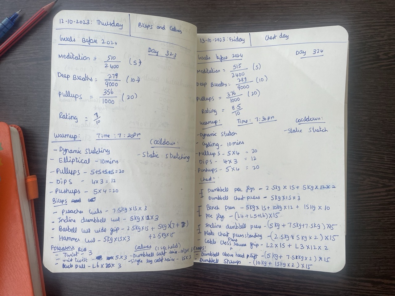 My handwritten fitness journal, days 319 to 324